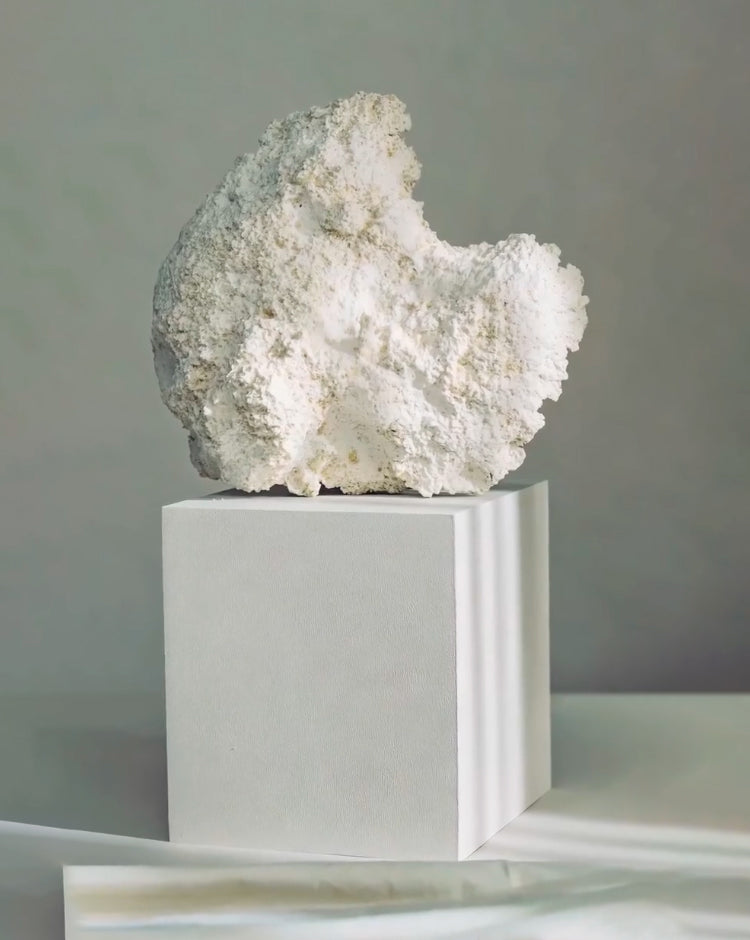 Lunar Rock