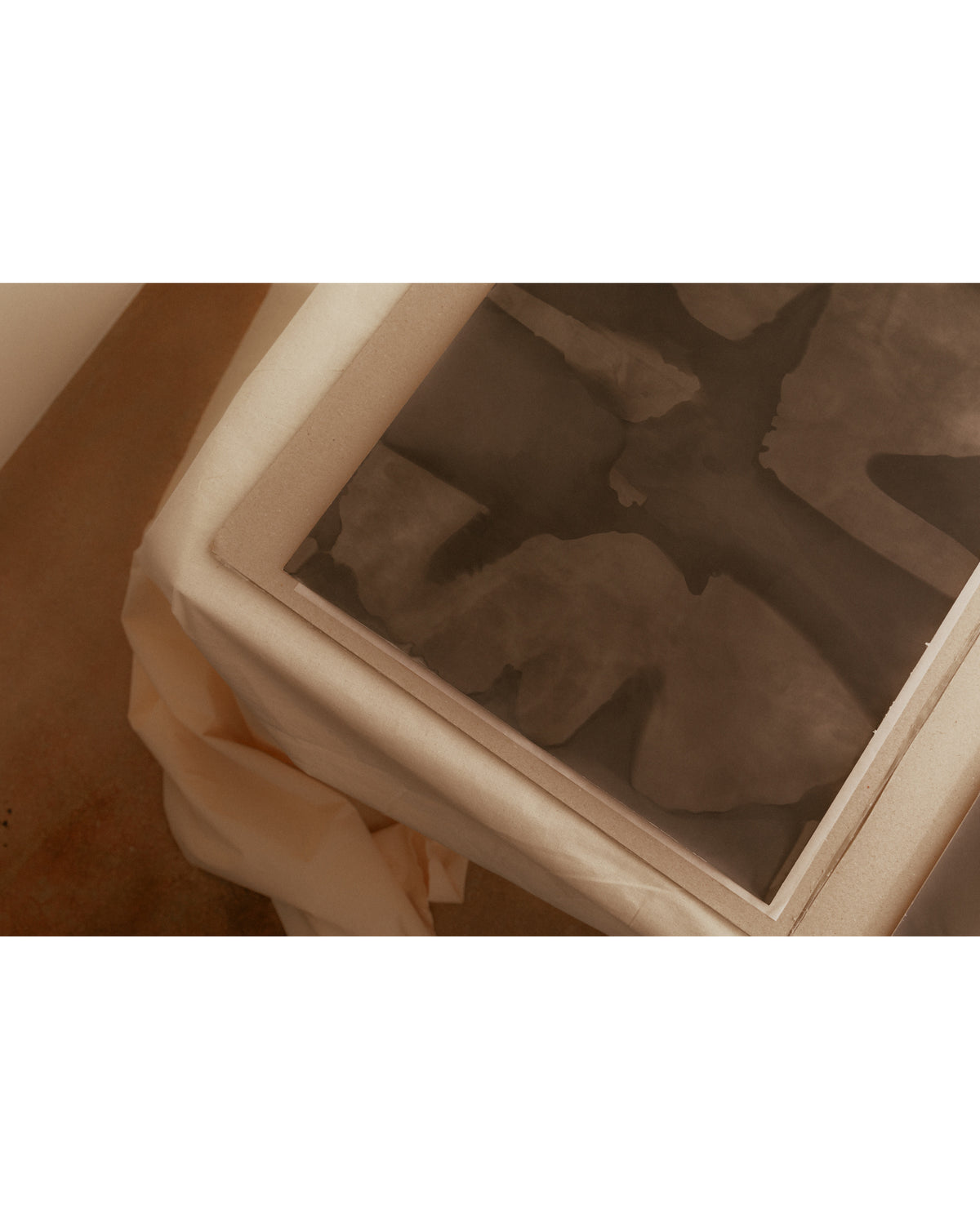 Untitled Photograms
