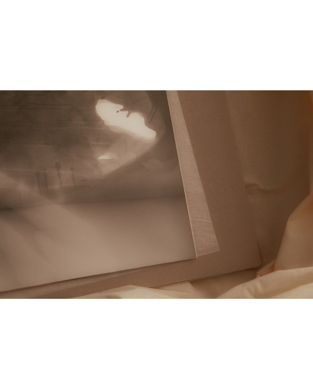 Untitled Photograms