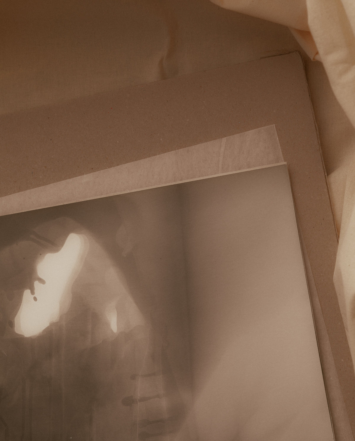 Untitled Photograms