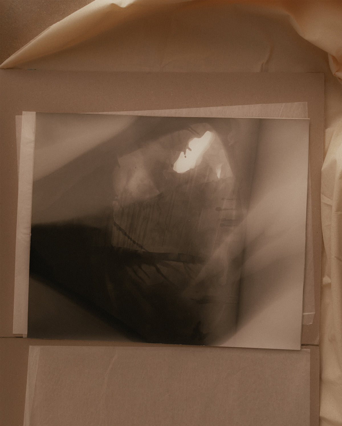 Untitled Photograms