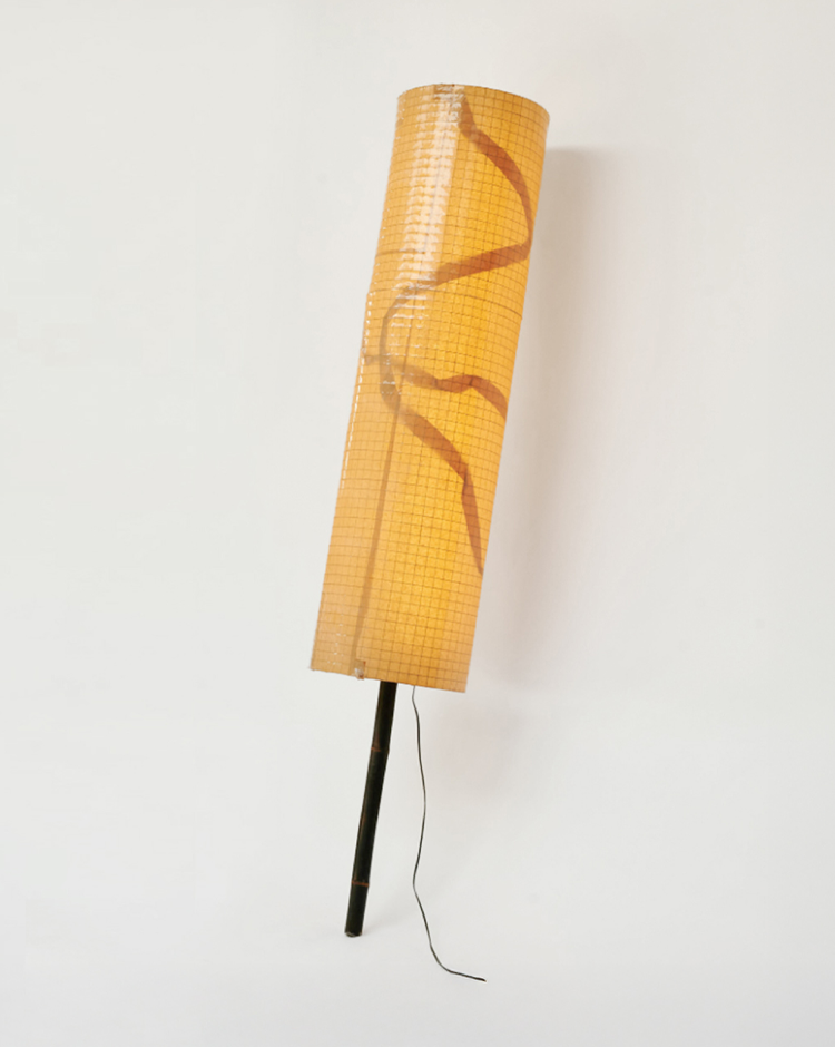 Bamboo Light Ribbon