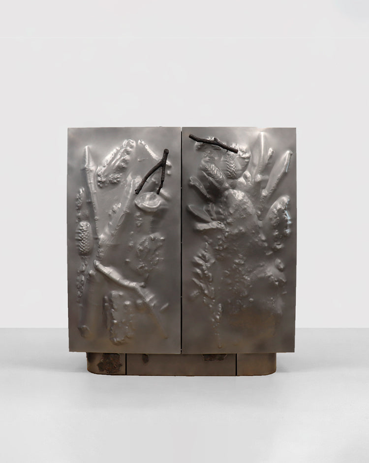 Cabinet Fragile