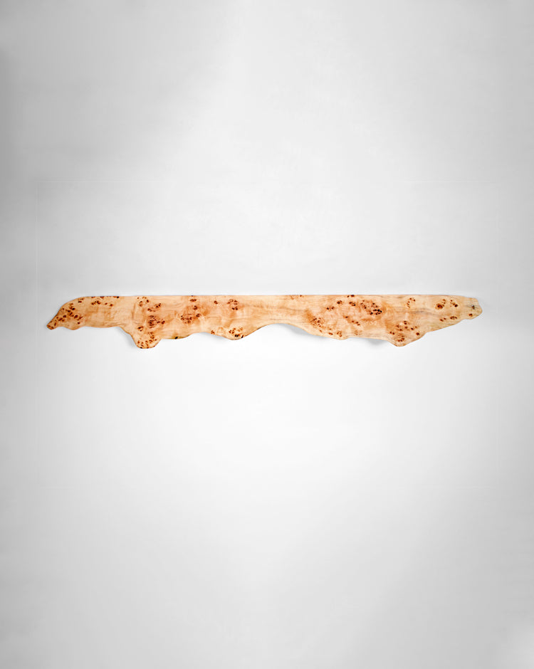 W1264 Poplar Burl