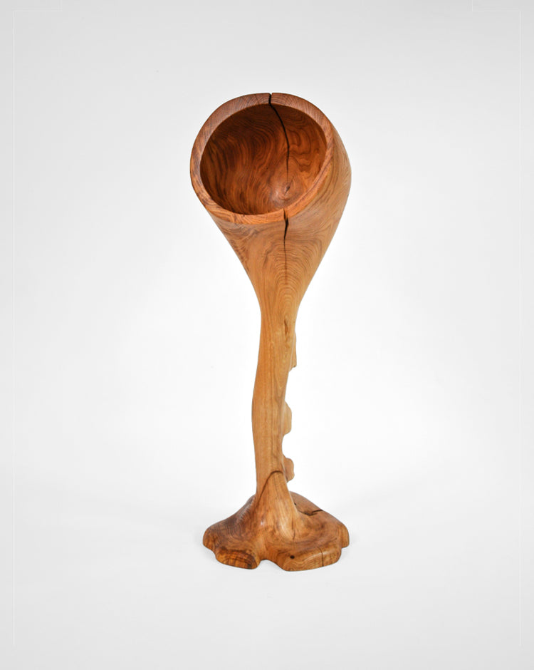 V1669 Oak