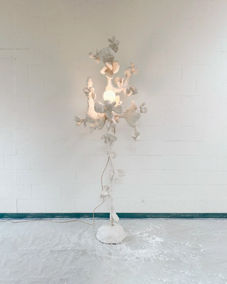 Correspondence plaster lighting